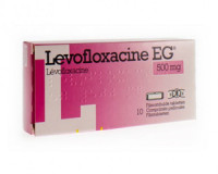 Levofloxacin 250 mg